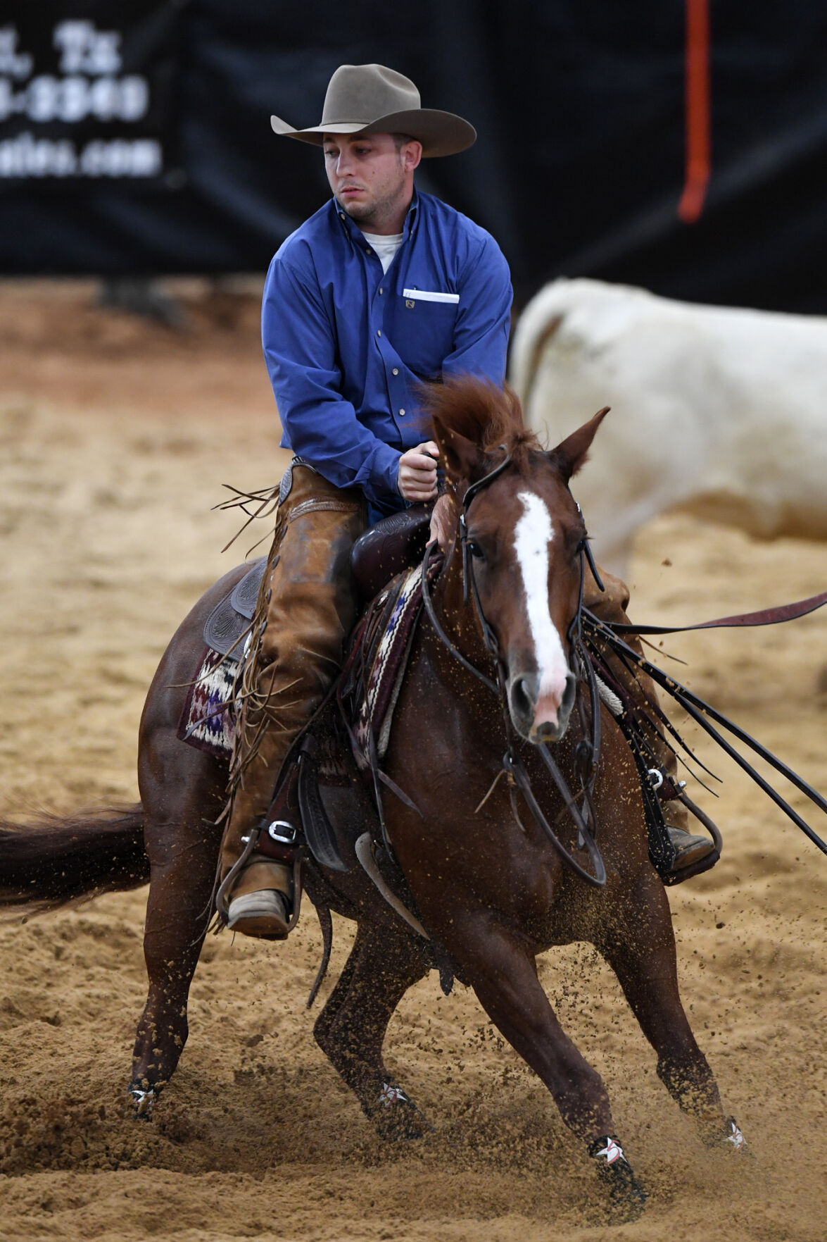 Michelle Lynn Holsey Foundation NCHA Cutting & Benefit